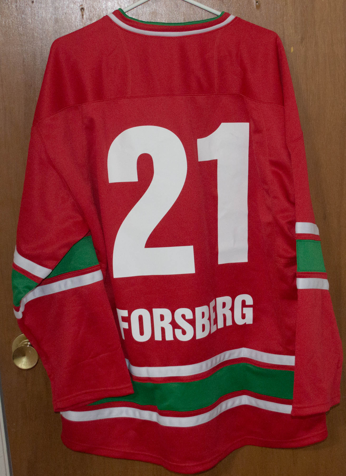 Peter Forsberg 21 MODO Hockey Red Hockey Jersey — BORIZ